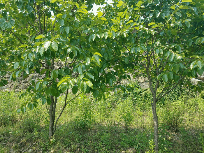 물건 사진 30