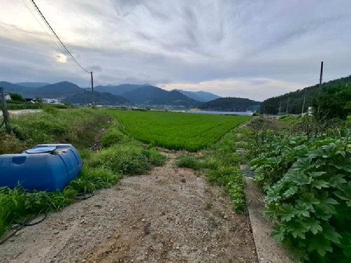 물건 사진 1