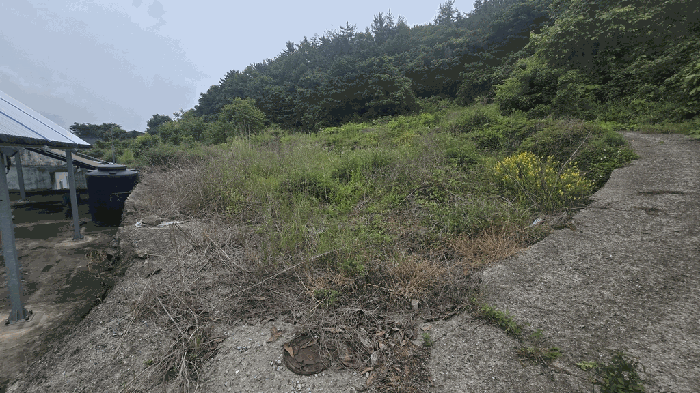 물건 사진 12