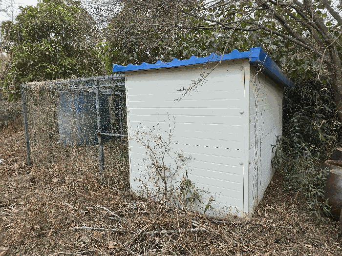 물건 사진 63