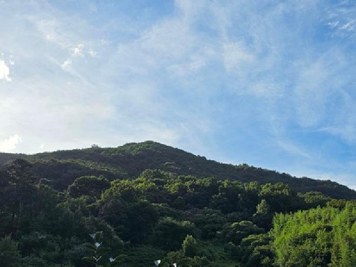 물건 사진 12