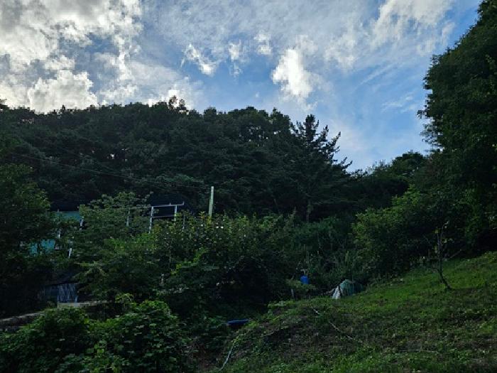물건 사진 13