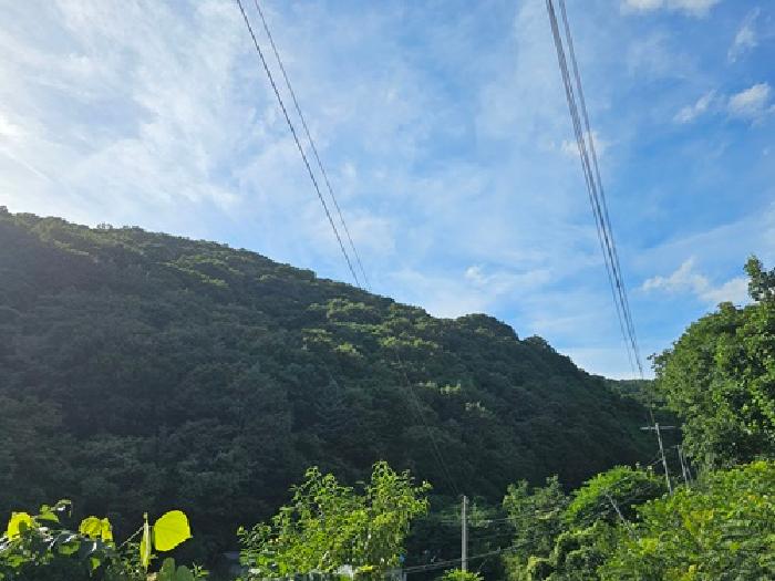 물건 사진 14