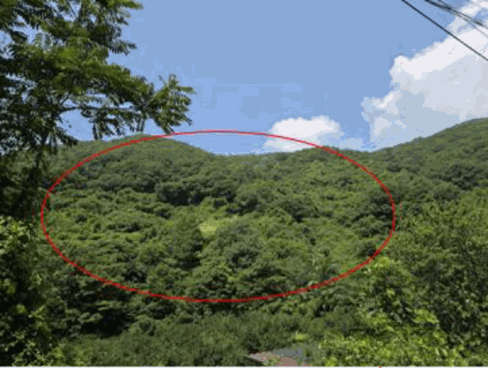 물건 사진 23
