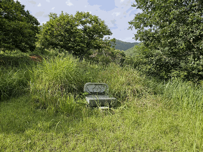 물건 사진 28