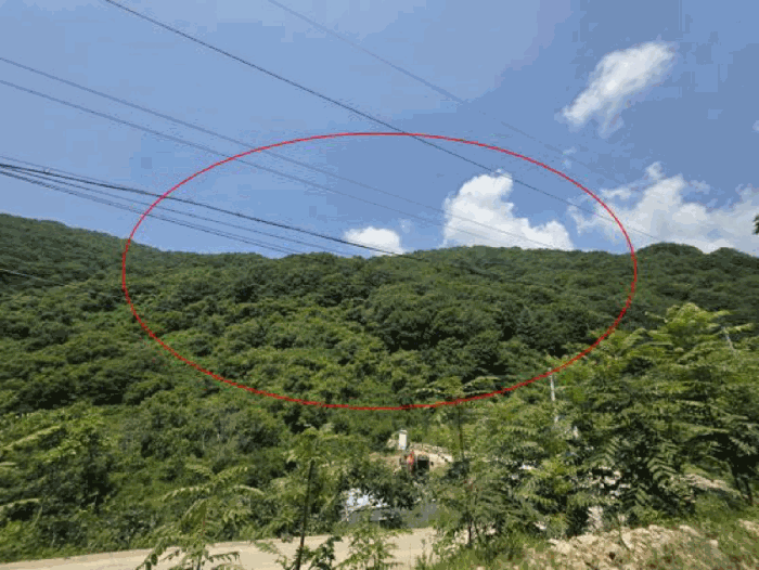 물건 사진 29