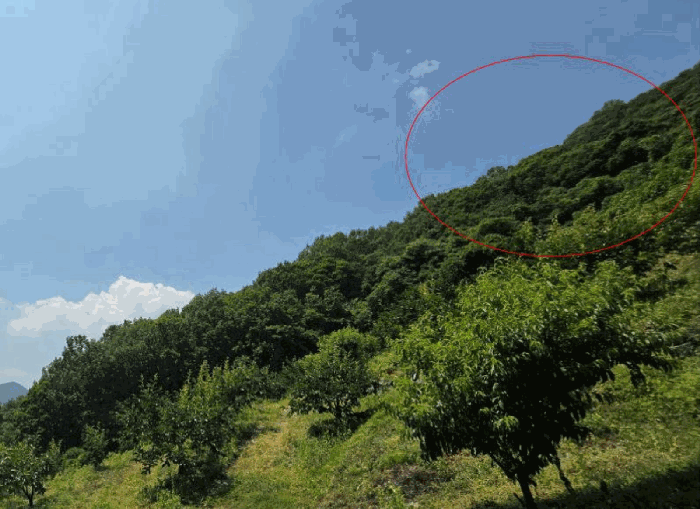 물건 사진 33