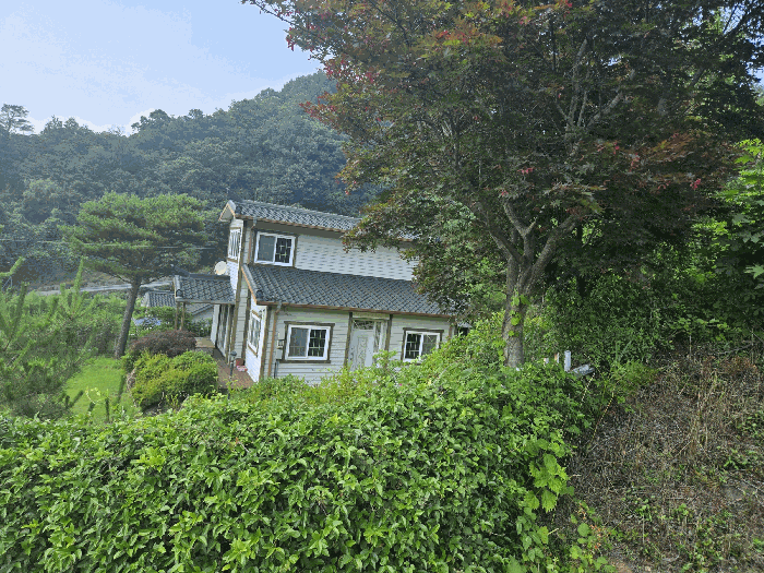 물건 사진 17