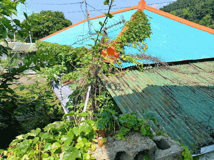 물건 사진 15