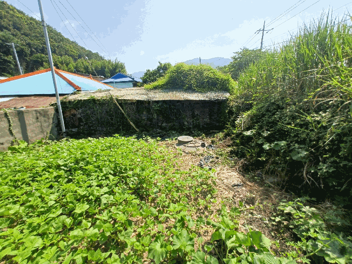 물건 사진 16