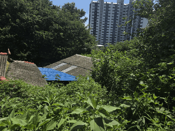 물건 사진 12