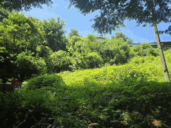 물건 사진 10