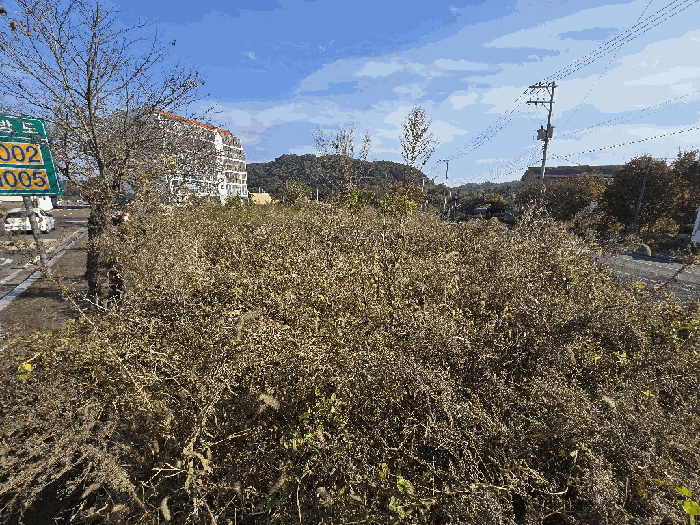 물건 사진 31