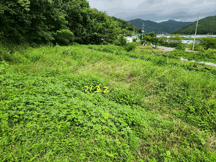 물건 사진 23