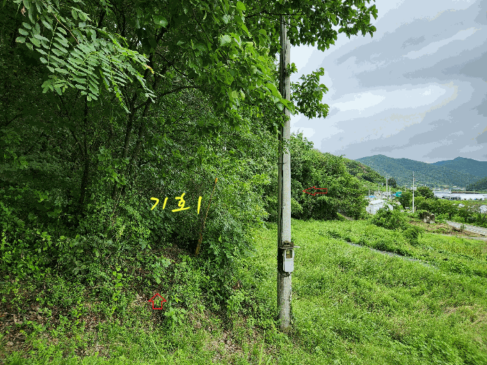 물건 사진 25