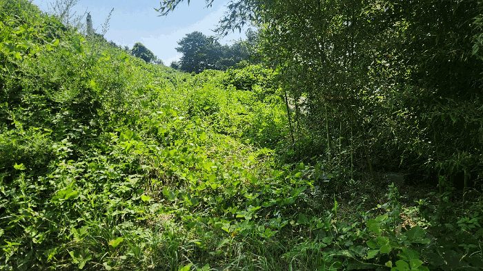 물건 사진 39