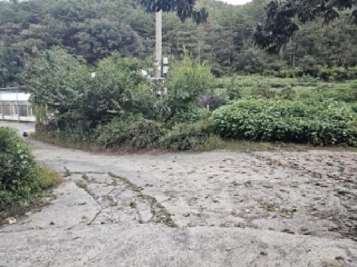 물건 사진 2