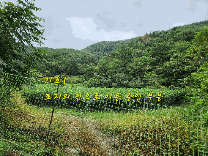물건 사진 20