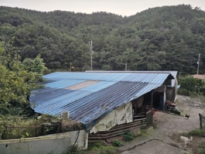 물건 사진 9