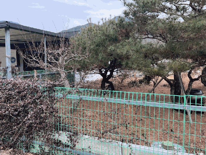 물건 사진 17