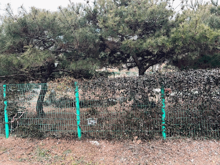 물건 사진 21