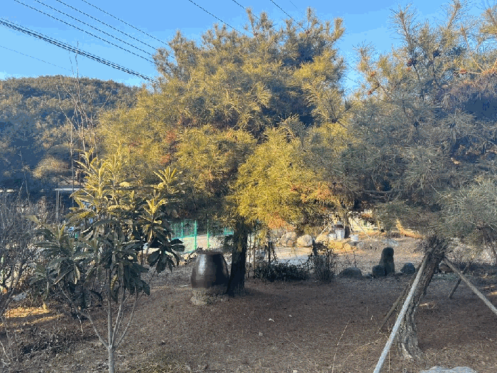 물건 사진 22