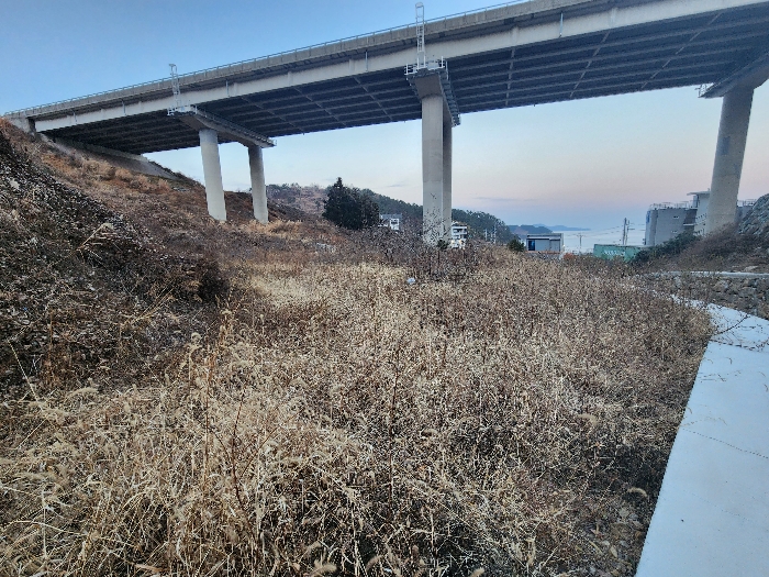 물건 사진 31