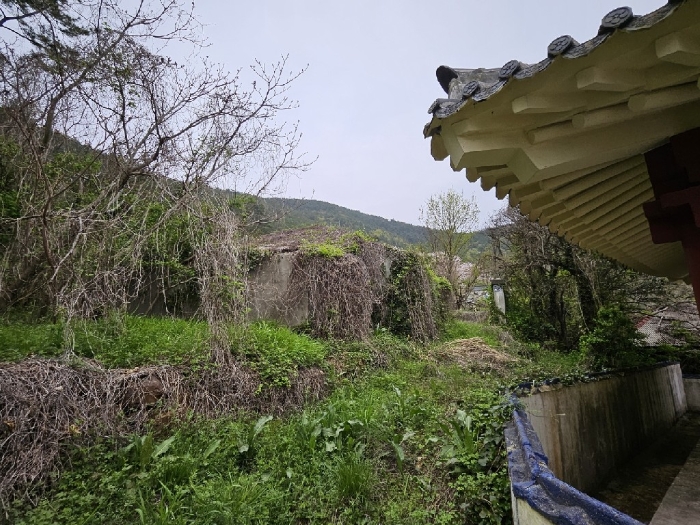 물건 사진 12