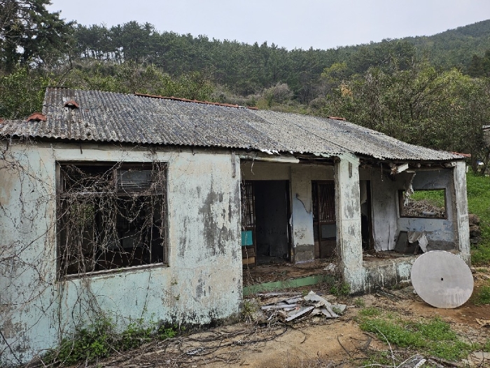 물건 사진 13