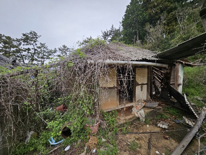 물건 사진 14