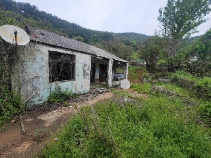물건 사진 7