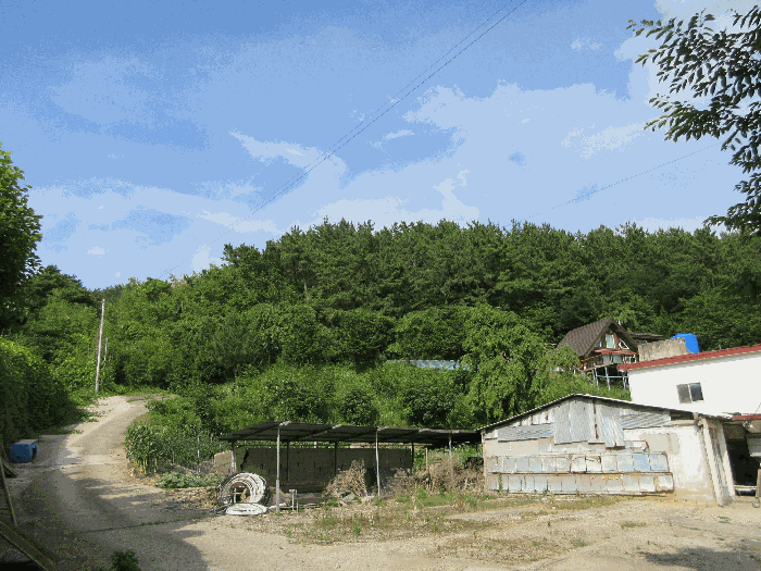 물건 사진 102