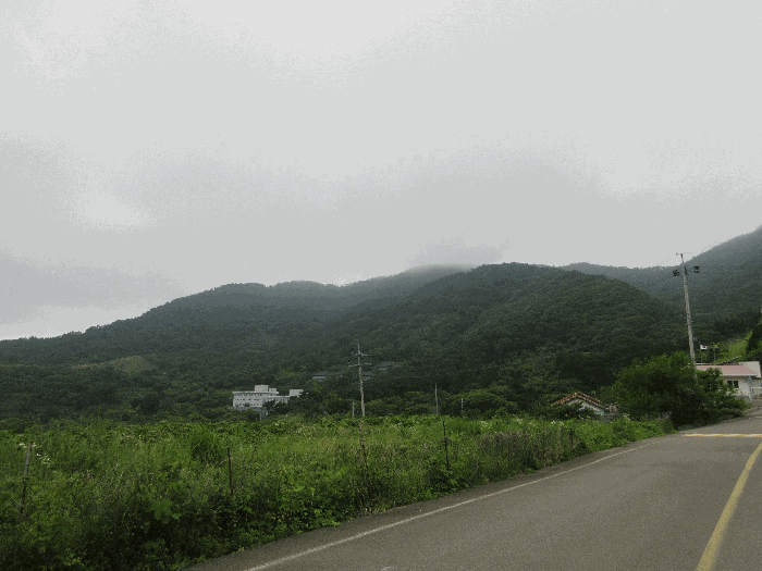 물건 사진 125