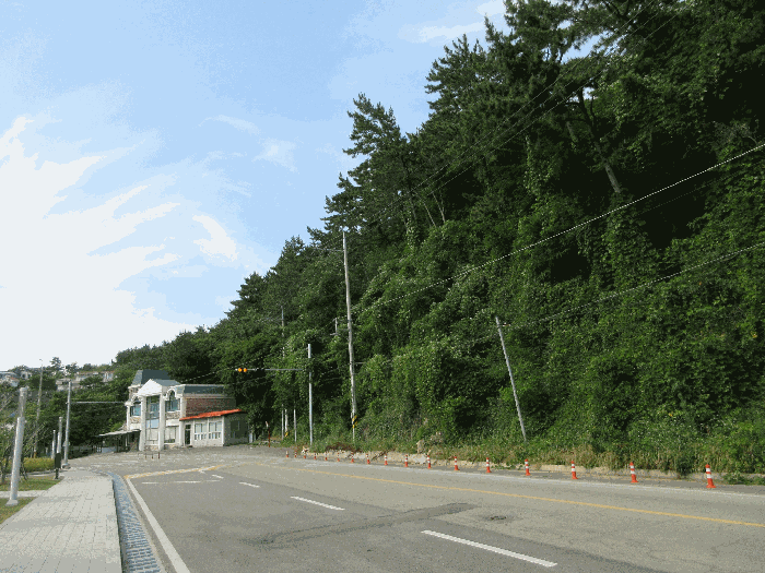 물건 사진 161