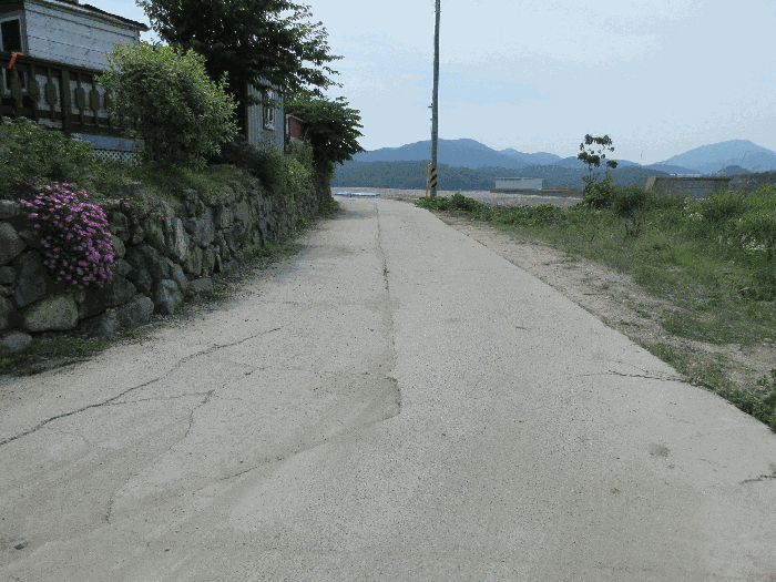 물건 사진 111