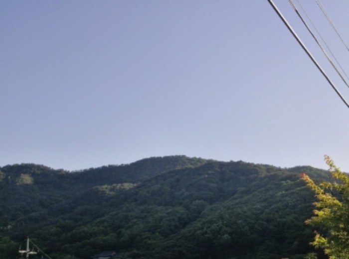 물건 사진 17