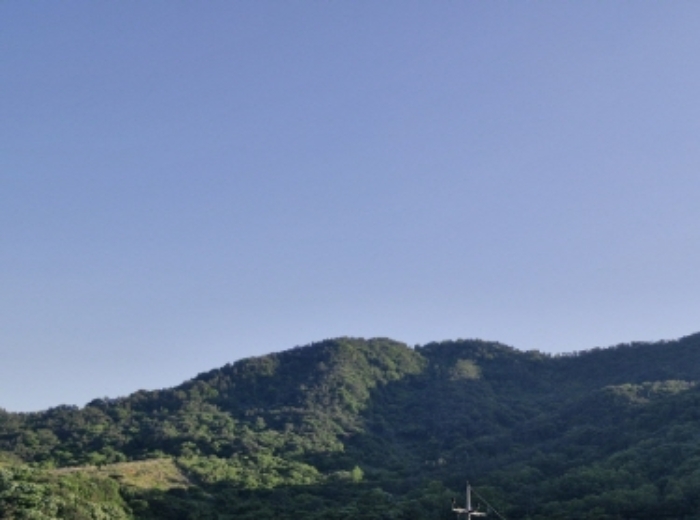 물건 사진 20