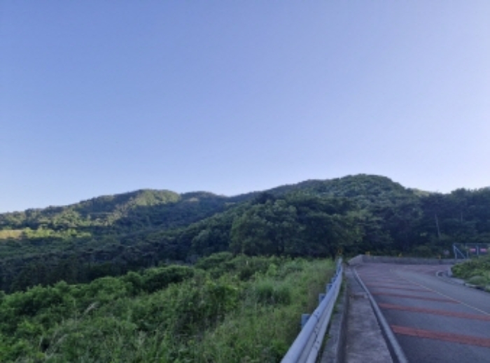 물건 사진 21