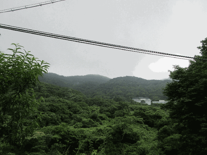 물건 사진 82