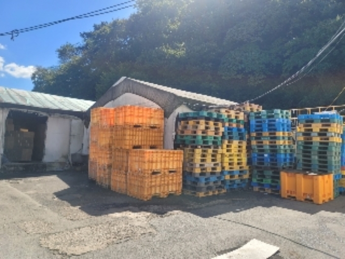 물건 사진 4