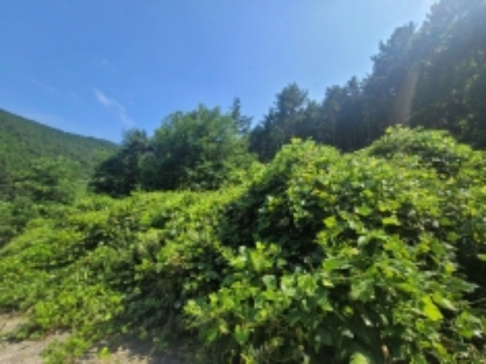 물건 사진 18