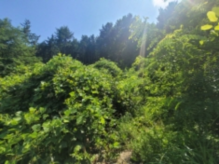 물건 사진 19