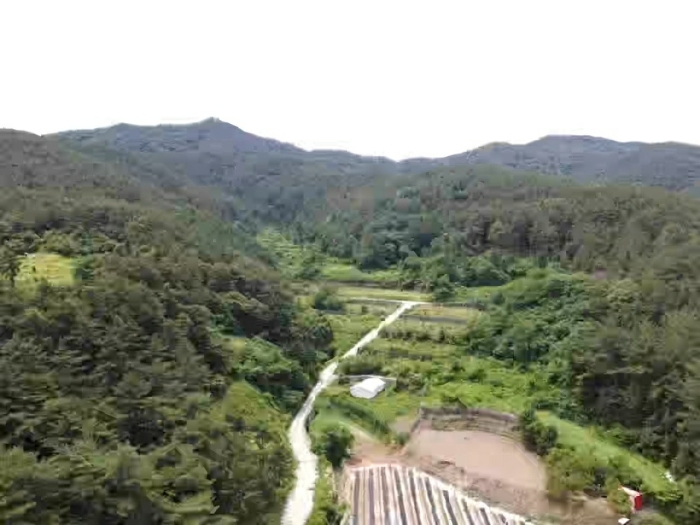 물건 사진 21