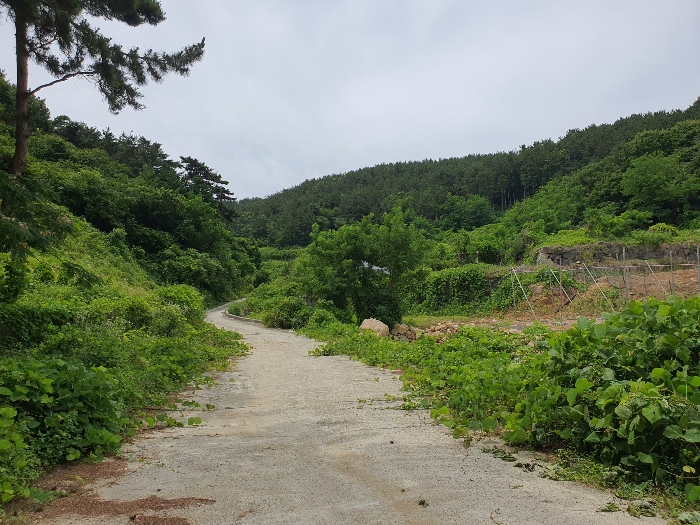 물건 사진 22