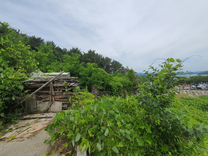 물건 사진 27
