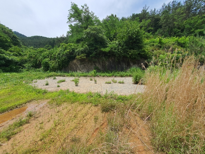 물건 사진 28