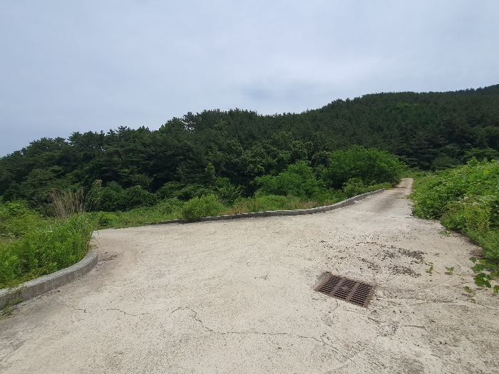 물건 사진 31