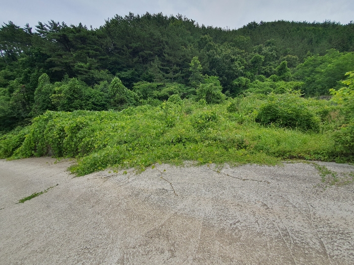 물건 사진 39
