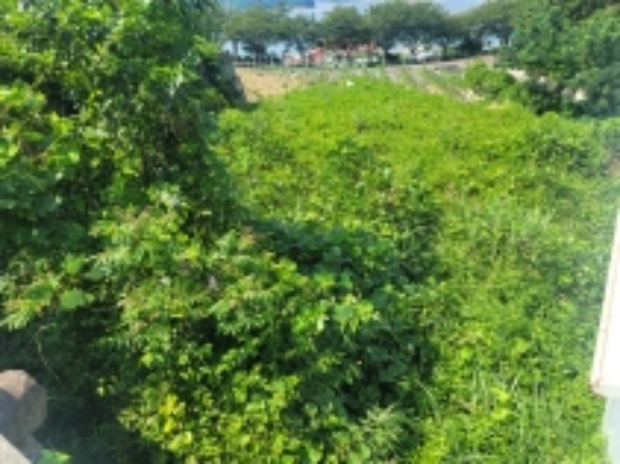 물건 사진 7