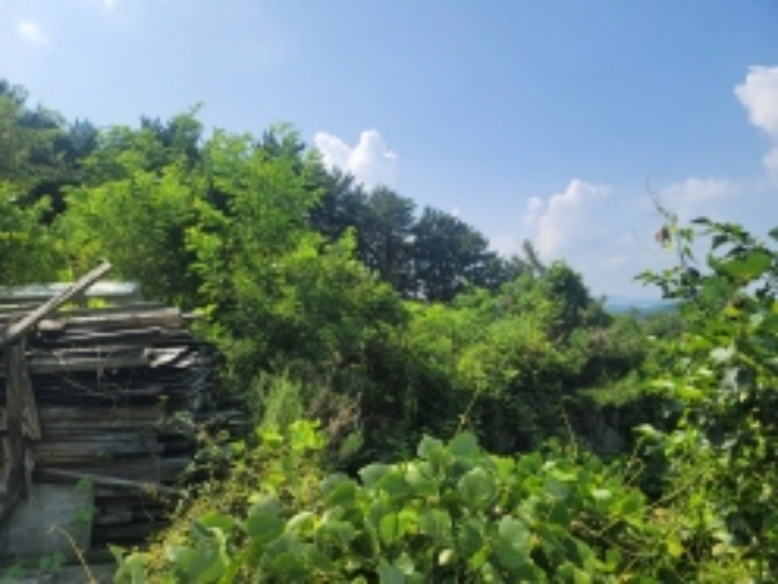 물건 사진 8